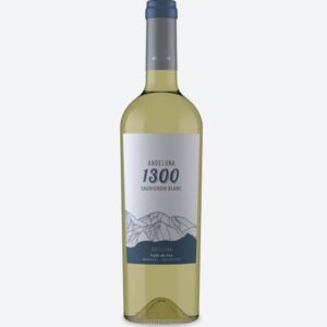ANDELUNA 1300 SAUVIGNON BLANC 750 CC